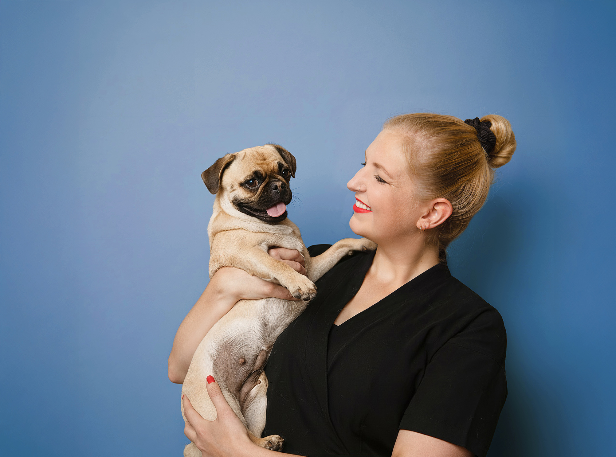 Portraitfoto Franziska Feldmann mit Mops Ansga auf dem Arm vor einem blauen Hintergrund